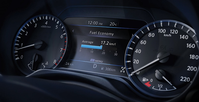 Driver assist display
